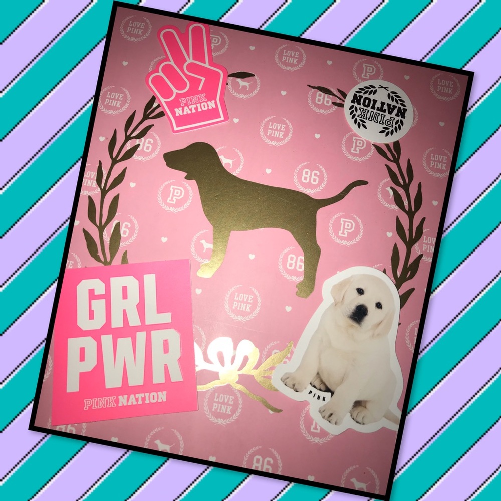 💖NEW Victoria’s Secret Pink Nation stickers💖